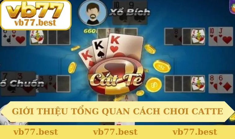 gioi thieu tong quan cach choi catte vb77 1 Giới thiệu tổng quan cách chơi Catte tại VB77